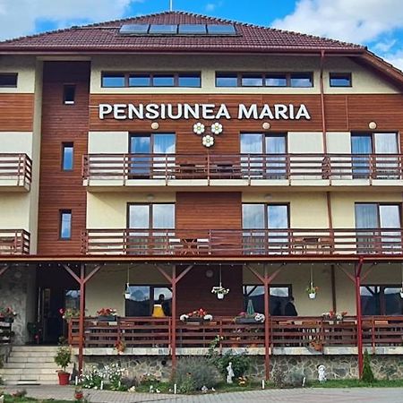 Pensiunea Maria Gilau Ngoại thất bức ảnh