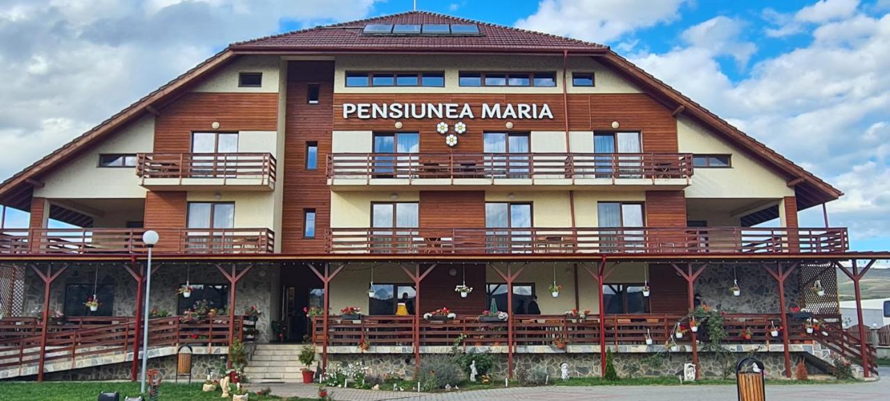Pensiunea Maria Gilau Ngoại thất bức ảnh